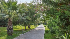 Un sendero pavimentado en un jardín con palmeras y arbustos florecientes.