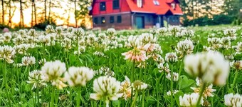 Stunning apartment in Gizycko with WiFi