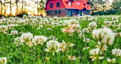 Stunning apartment in Gizycko with WiFi