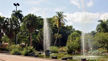 Departamento | Áreas de la propiedad