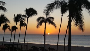 Beach - Sea of Cortez Views (San Jose del Cabo)