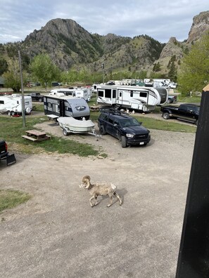 Property grounds