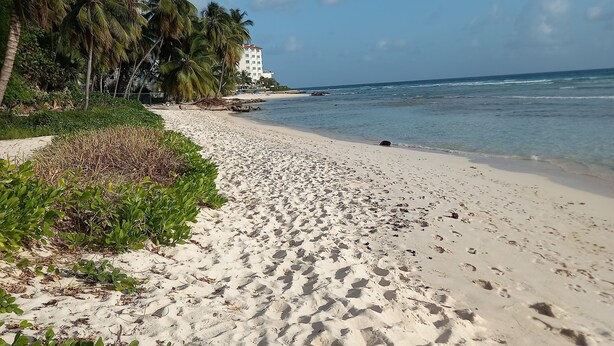 Une plage de sable avec des empreintes de pas, des palmiers et un bâtiment en arrière-plan.