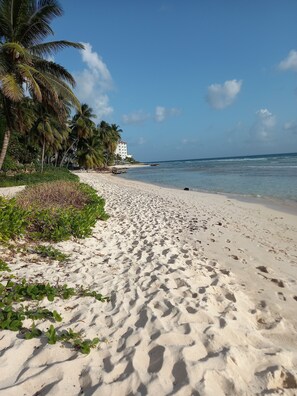 A sandy beach with footprints, palm trees, and a building in the background.
