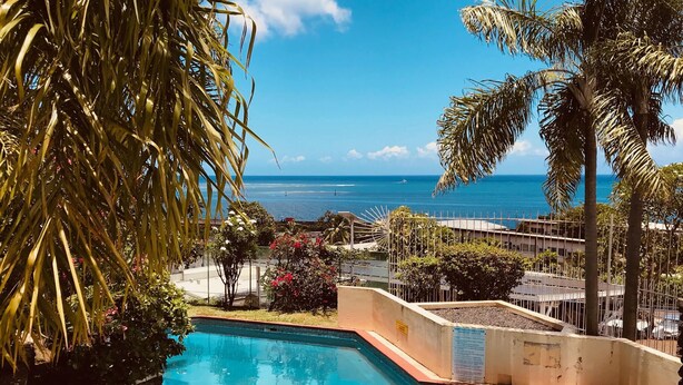 Ein Pool mit Meerblick, umgeben von Palmen und einer Einfriedung.