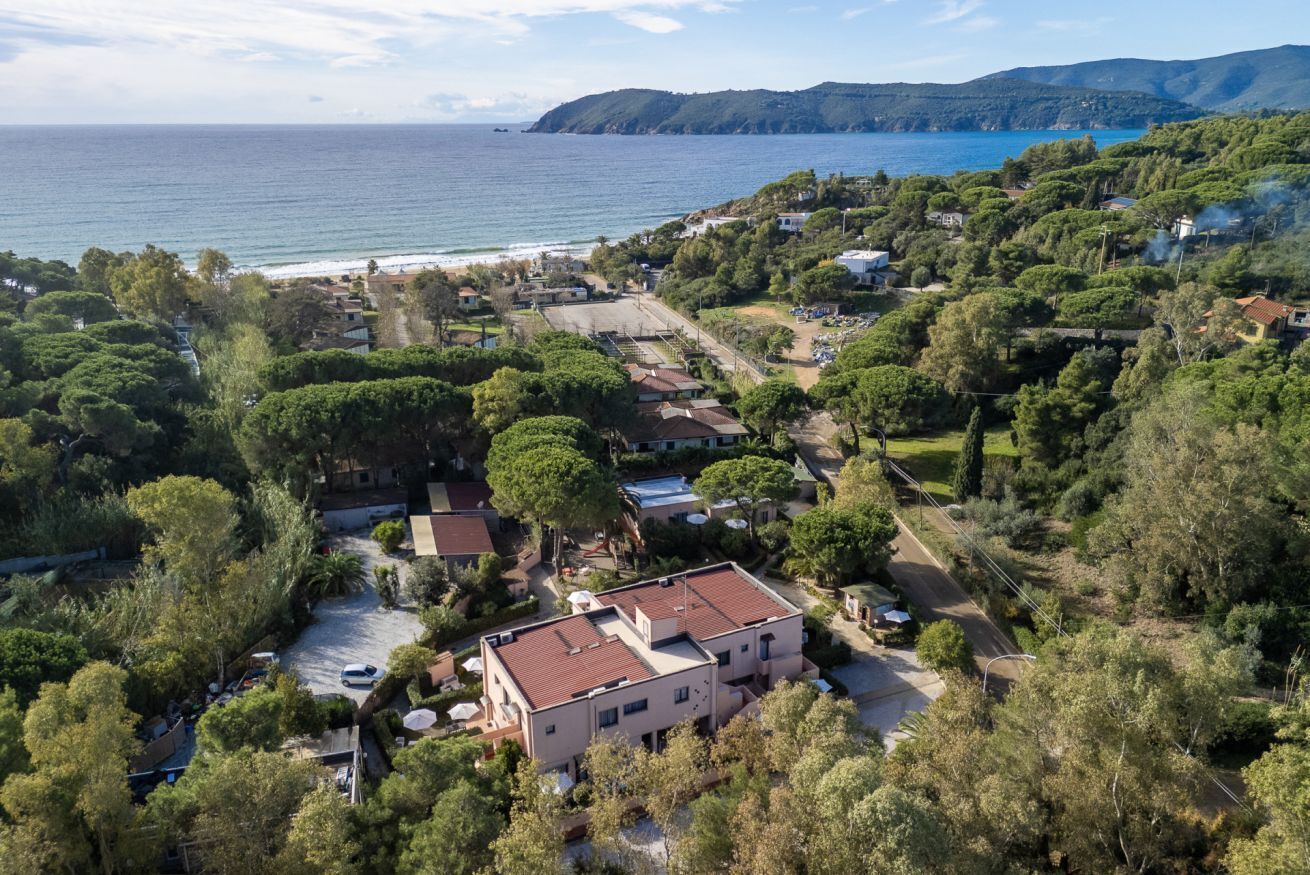 An aerial view of a coastal residential area with houses, trees, and a beach.