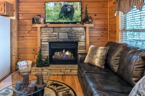 Smart TV, chimenea y reproductor de DVD 