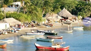A beach with several boats docked in the water, a crowd of people on the sand, and thatched-roof huts in the background.