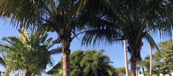 Swinton Cottage by Delray Beach w/ free parking Unit A