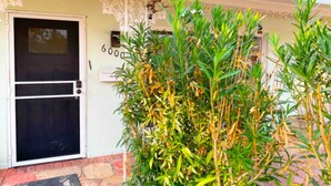 Entrada de un edificio con una puerta, el número '6000' en la pared y una planta verde exuberante al frente.