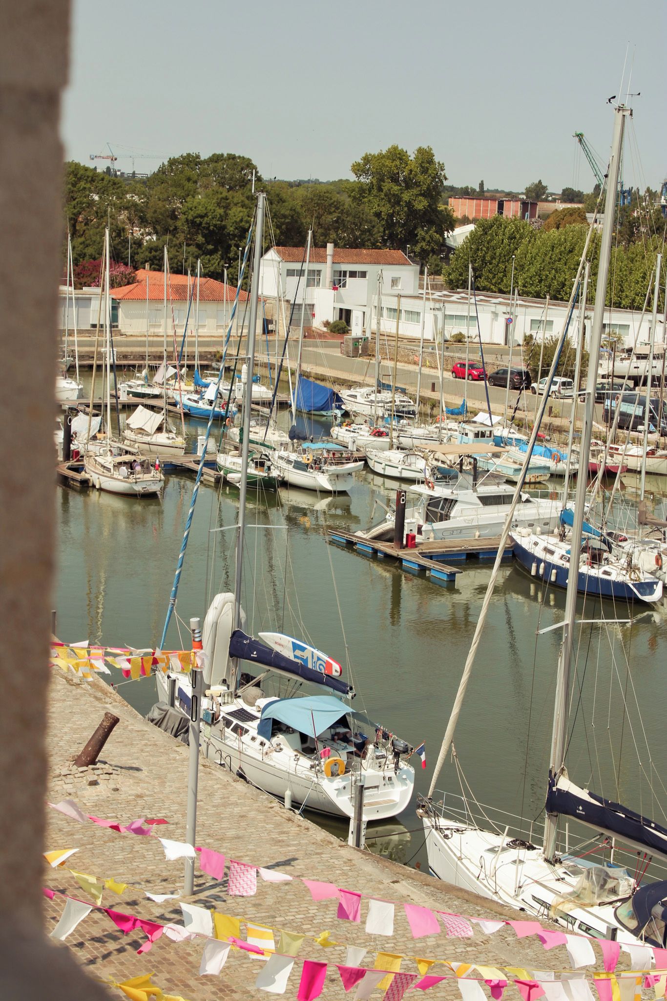 A marina with multiple sailboats docked, a paved walkway, and buildings in the background.