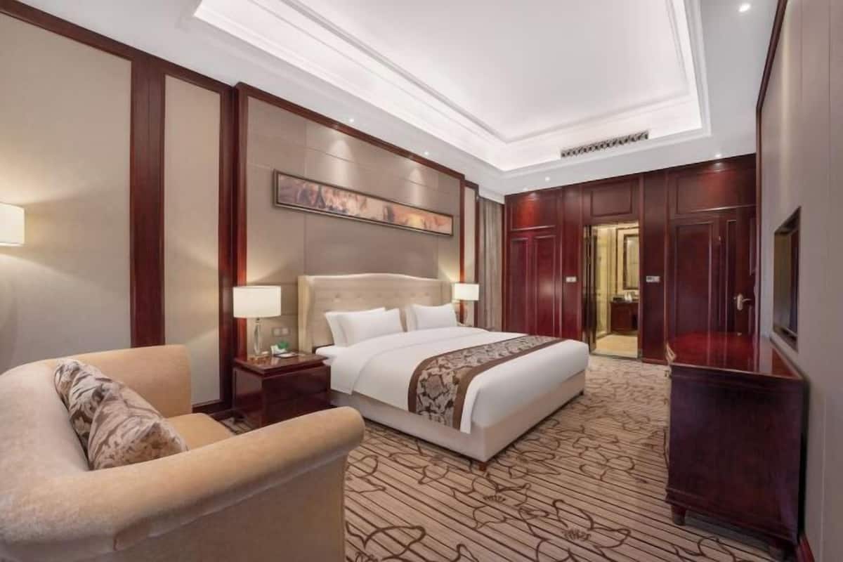 Habitación de hotel con una cama grande, un escritorio, una silla, un televisor y un armario.
