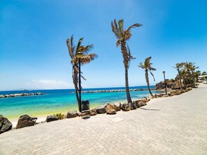 A paved beachfront walkway with palm trees and a clear view of the ocean.