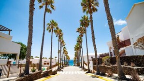 A paved walkway lined with palm trees, leading to a building with a white facade and a stone wall. - La Pituca Apartment (Playa Blanca)