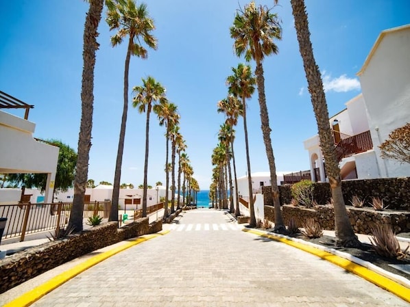A paved walkway lined with palm trees, leading to a building with a white facade and a stone wall.