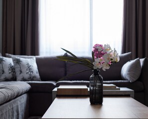 Apartamento Business, 2 habitaciones, vistas a la ciudad | Zona de estar | Una Smart TV, Netflix, servicios de streaming