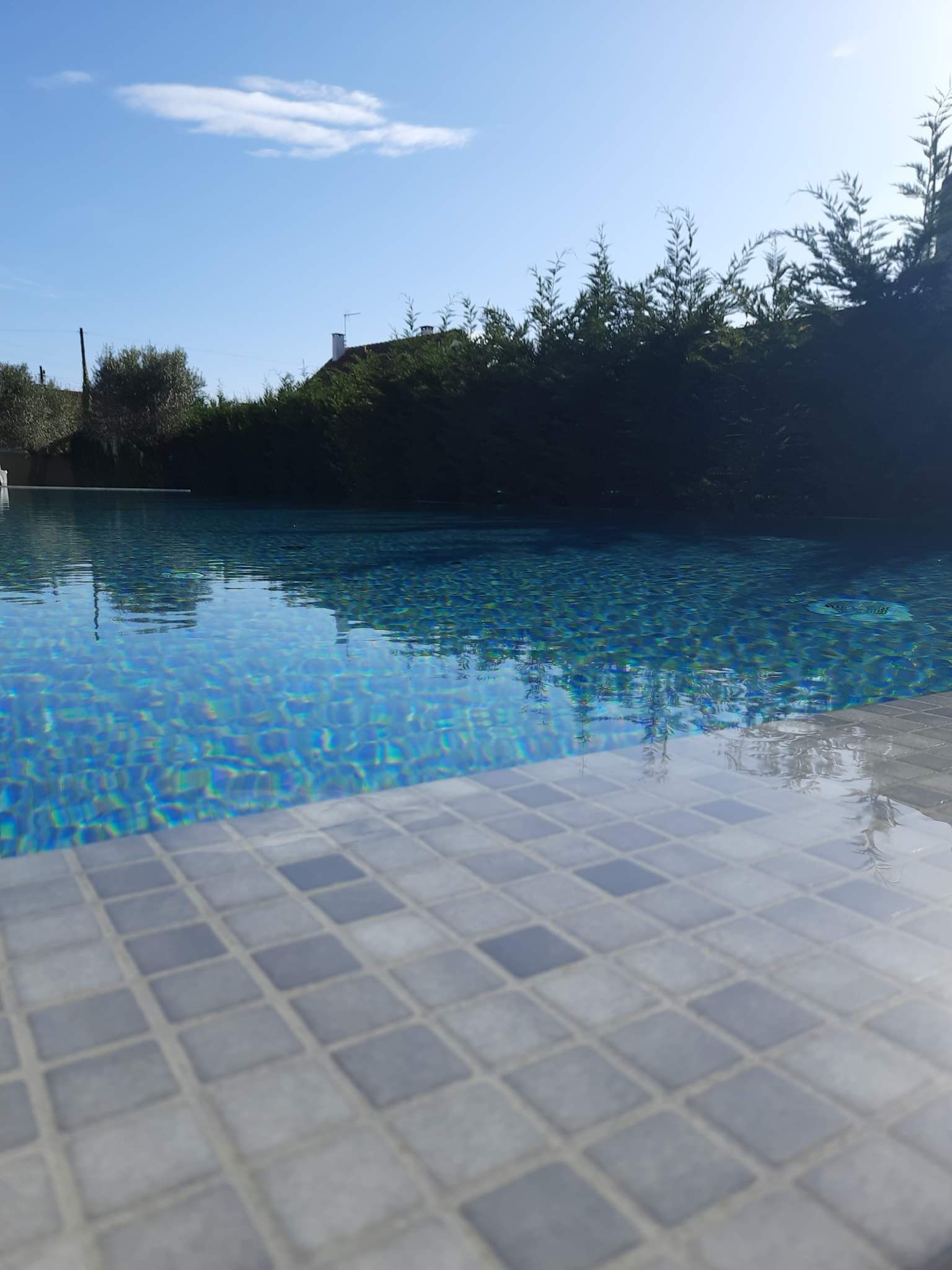 A clear blue pool with a tiled edge, surrounded by greenery and a clear sky.