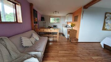 Televisor intel·ligent, llar de foc i llibres