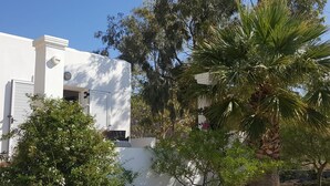 Un bâtiment blanc avec des volets, entouré d’arbres et d’un palmier.
