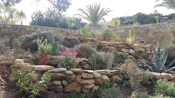 Rumah | Halaman properti