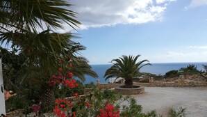 Une vue sur la côte, avec un mur de pierre, un palmier et des fleurs rouges au premier plan.