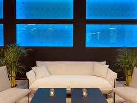 A modern living room with a beige sofa, two black coffee tables, and potted plants.