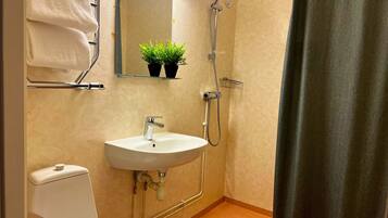 A bathroom with a white sink, a mirror, a shower, and a toilet.