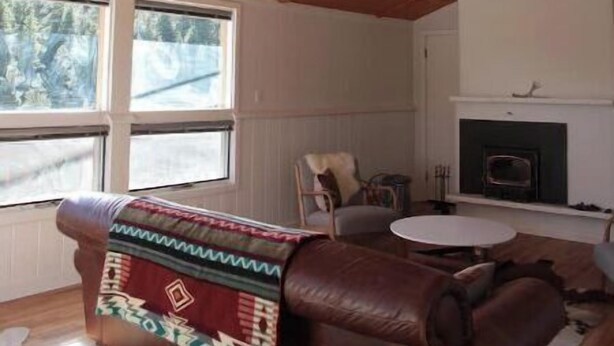A cozy living room with a high wooden ceiling, a fireplace, and a leather sofa. - Magnolia Mountain Getaway (Nederland)