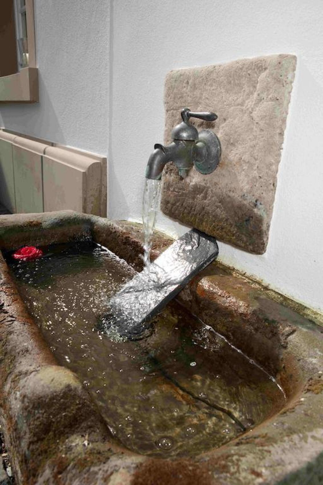 Un lavabo de piedra con agua corriente, una flor roja y un grifo de pared.