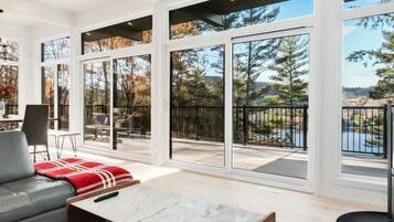 Télévision, cheminée, jeux vidéo, Netflix