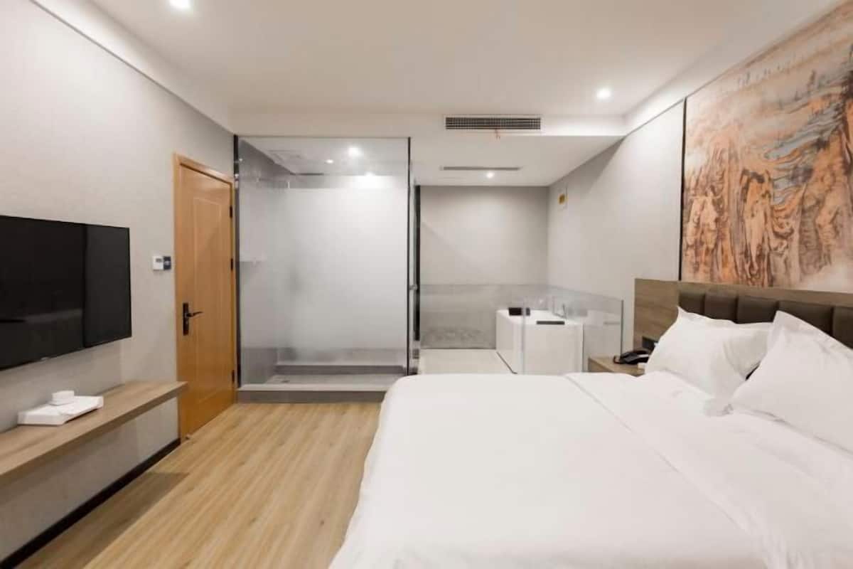 Una habitación de hotel moderna con una cama grande, un televisor, una ducha y un cuadro en la pared.