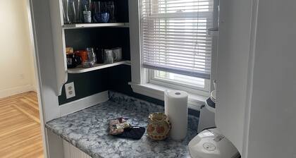 Bright, Sunny & Newly Renovated Duplex Close to Boston