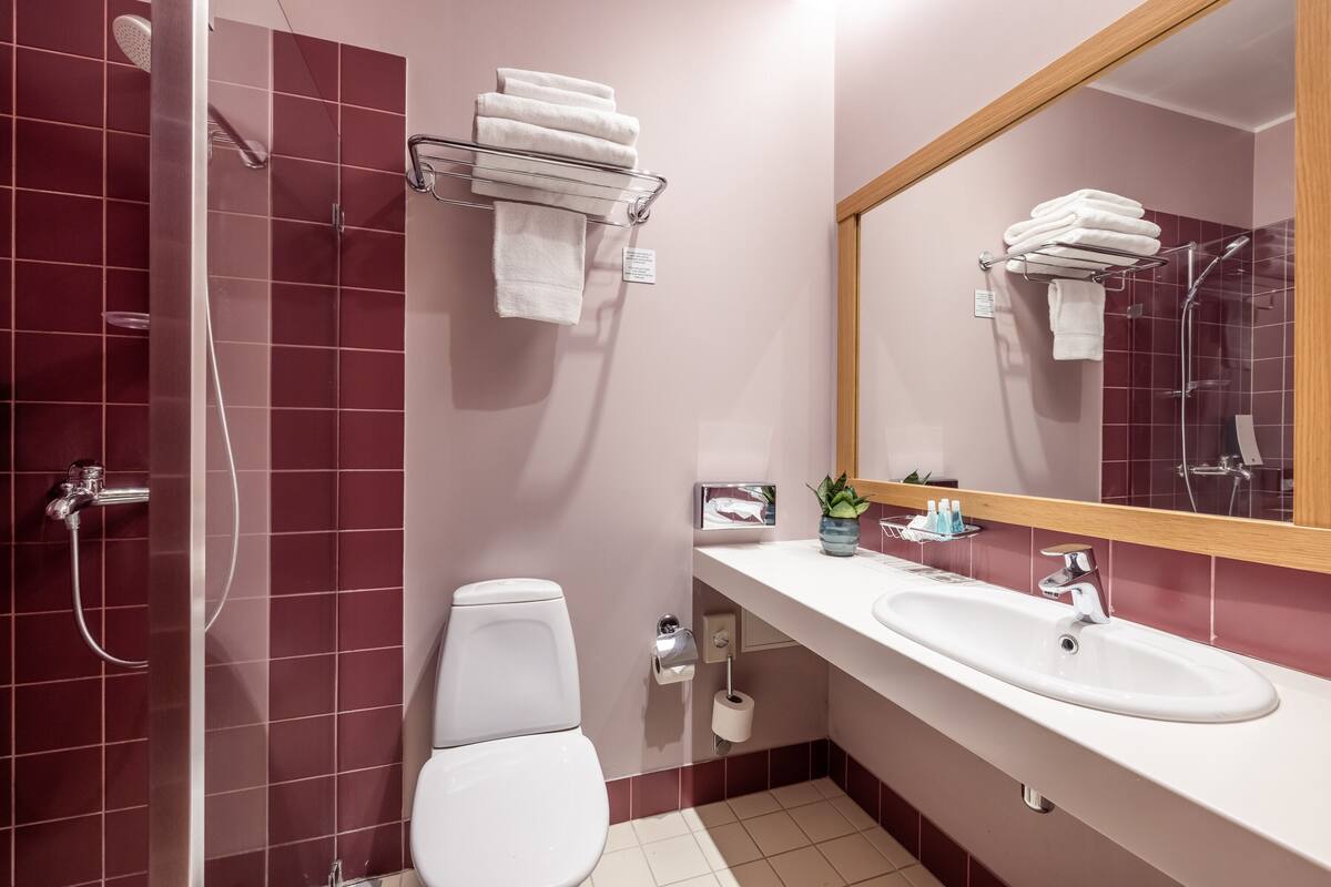 classic double room | bathroom | free toiletries, hair dryer, bathrobes, towels