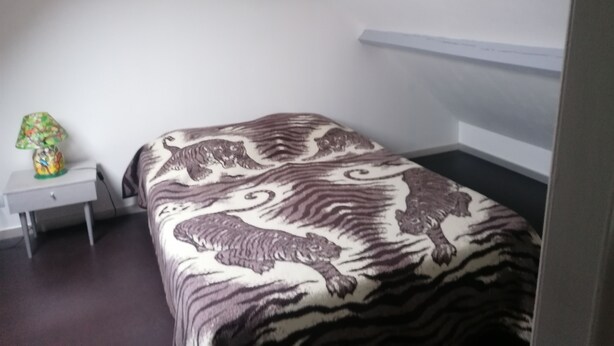 Une chambre à coucher avec une couvre-lit à motifs zébrés, une table de chevet avec une lampe et un tableau accroché au mur.