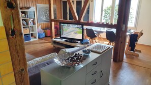 TV, fireplace, books, stereo