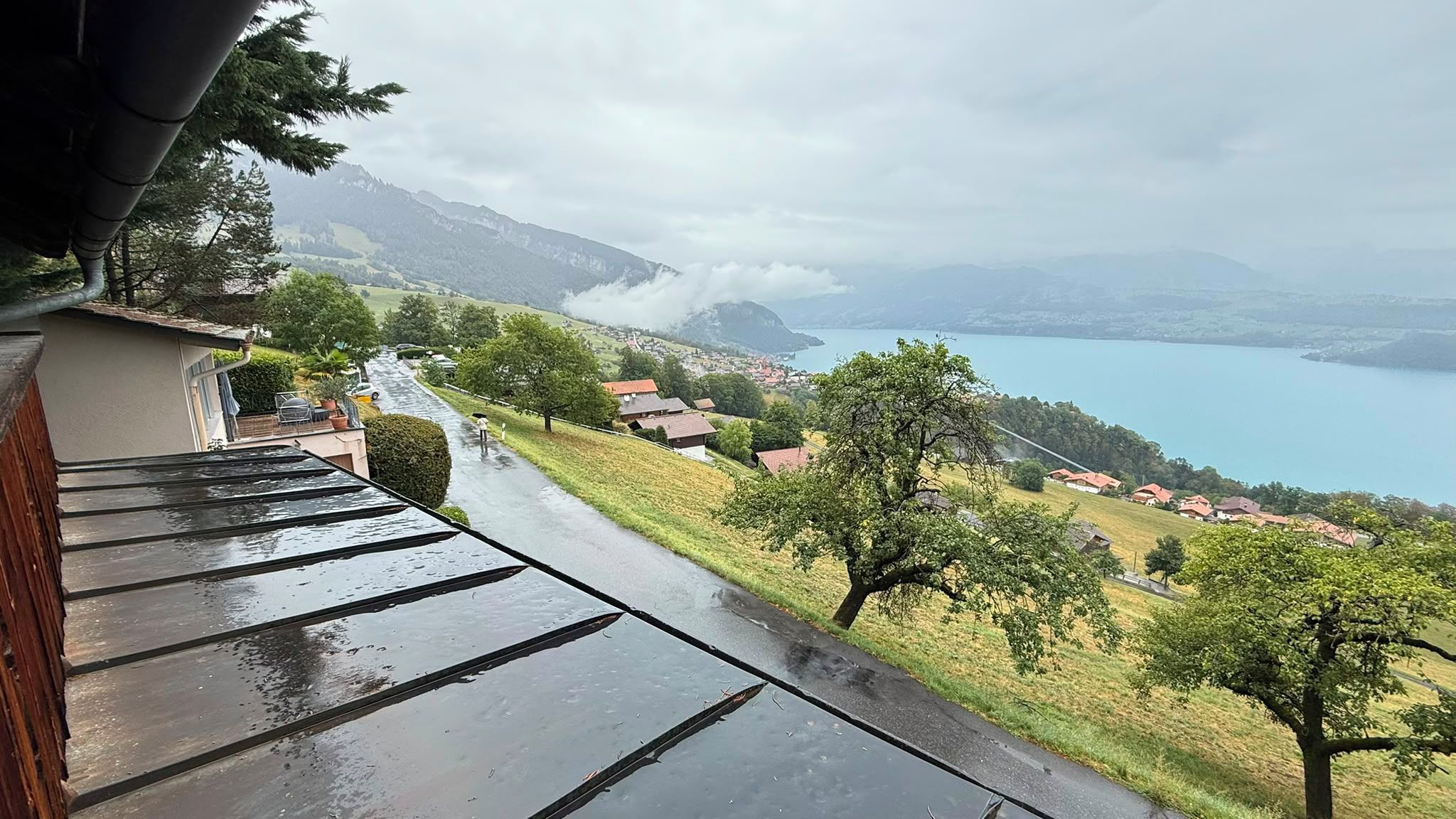 A residential area with a view of a lake and mountains.