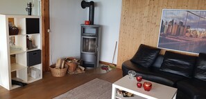 Televisión, chimenea, libros, estéreo