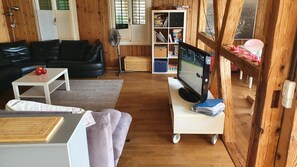 TV, fireplace, books, stereo