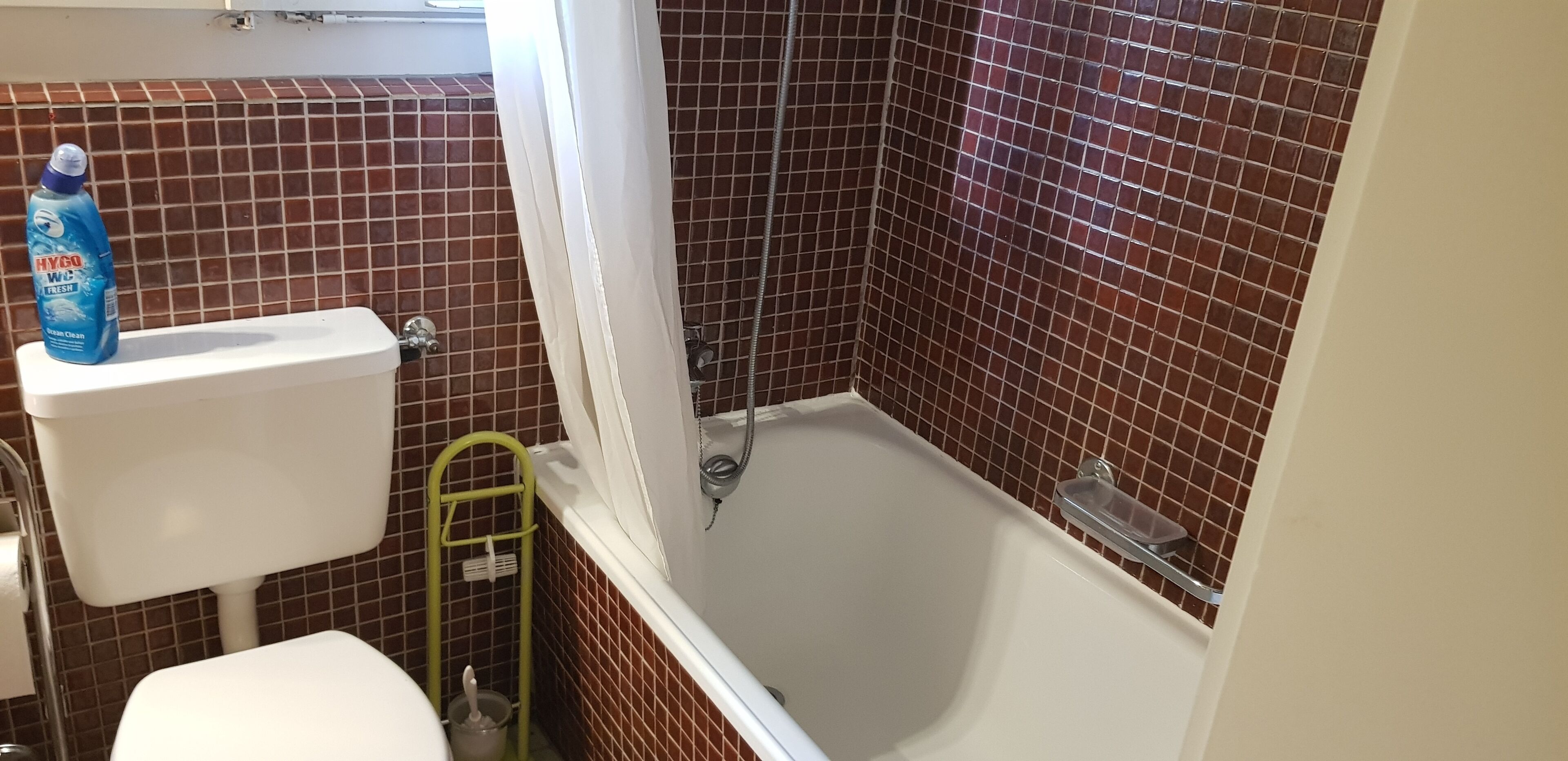 Un baño con un inodoro blanco, un asidero verde, una ducha con manguera y un rollo de papel higiénico azul.