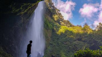 A person standing near a waterfall in a lush, green forest.