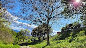 A cobblestone path leading through a lush green landscape with trees and a clear blue sky.