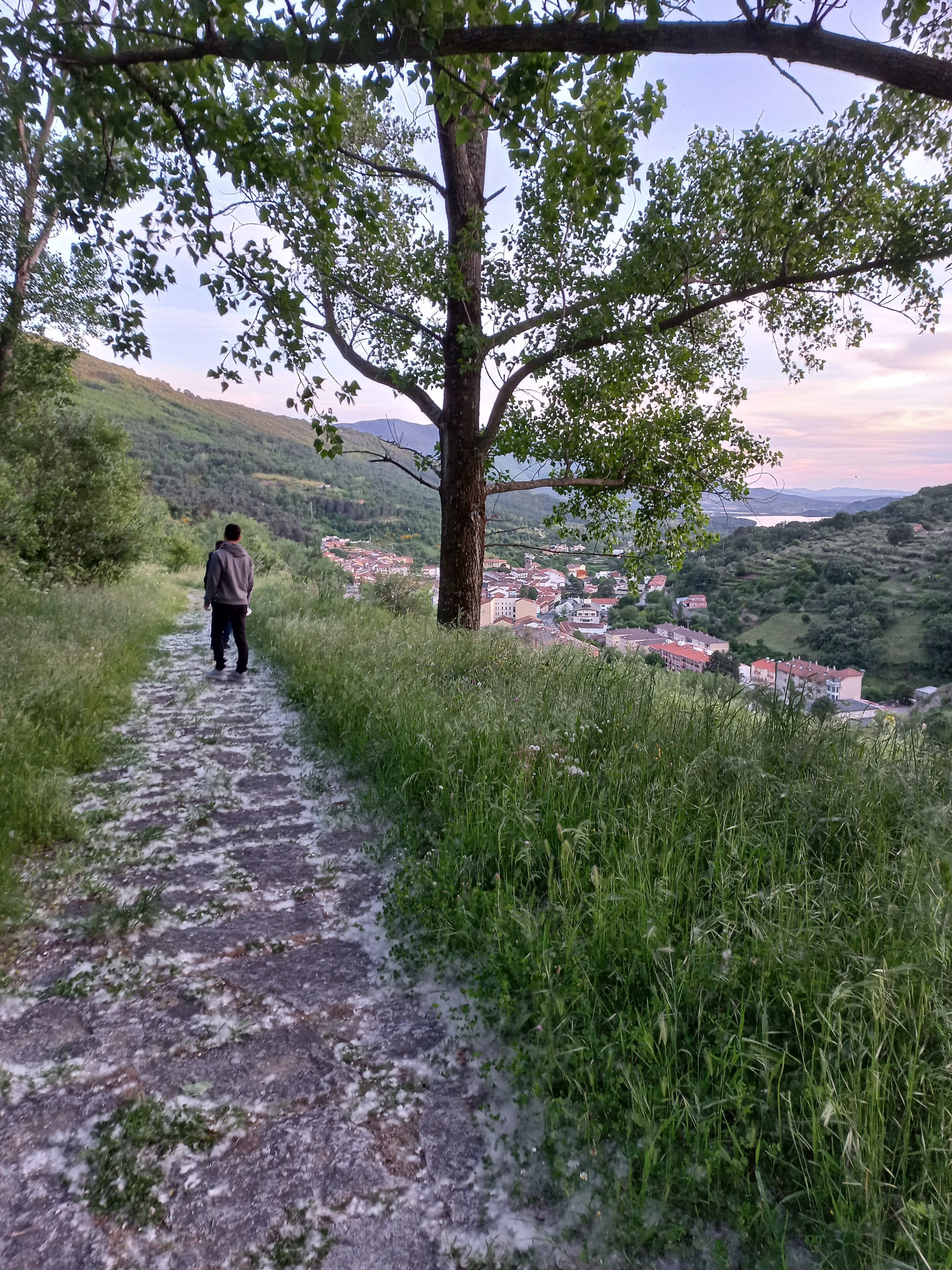 A person walking on a stone path surrounded by greenery, with a view of a town in the distance.