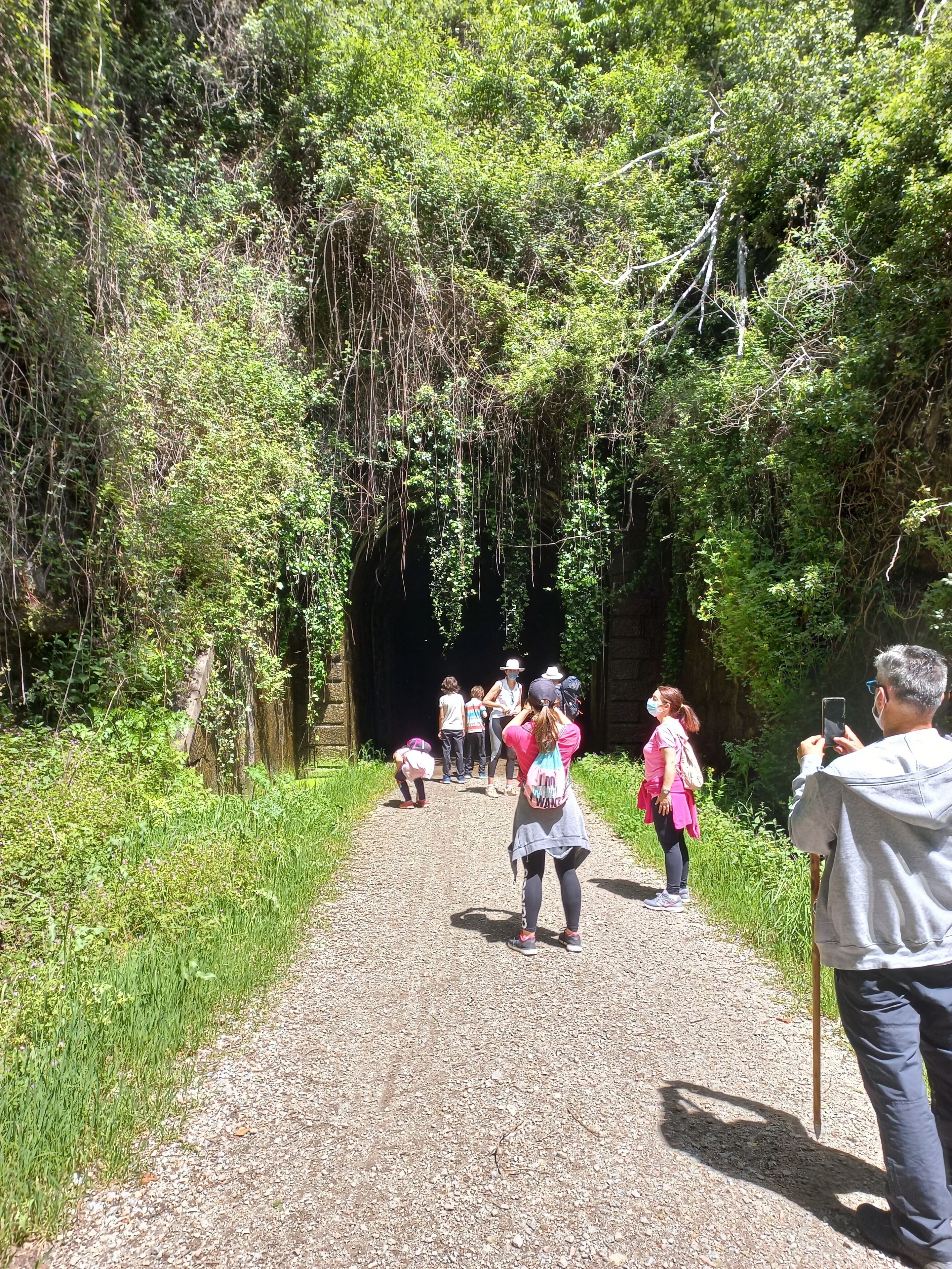 A gravel path leading into a forested area with a tunnel entrance.