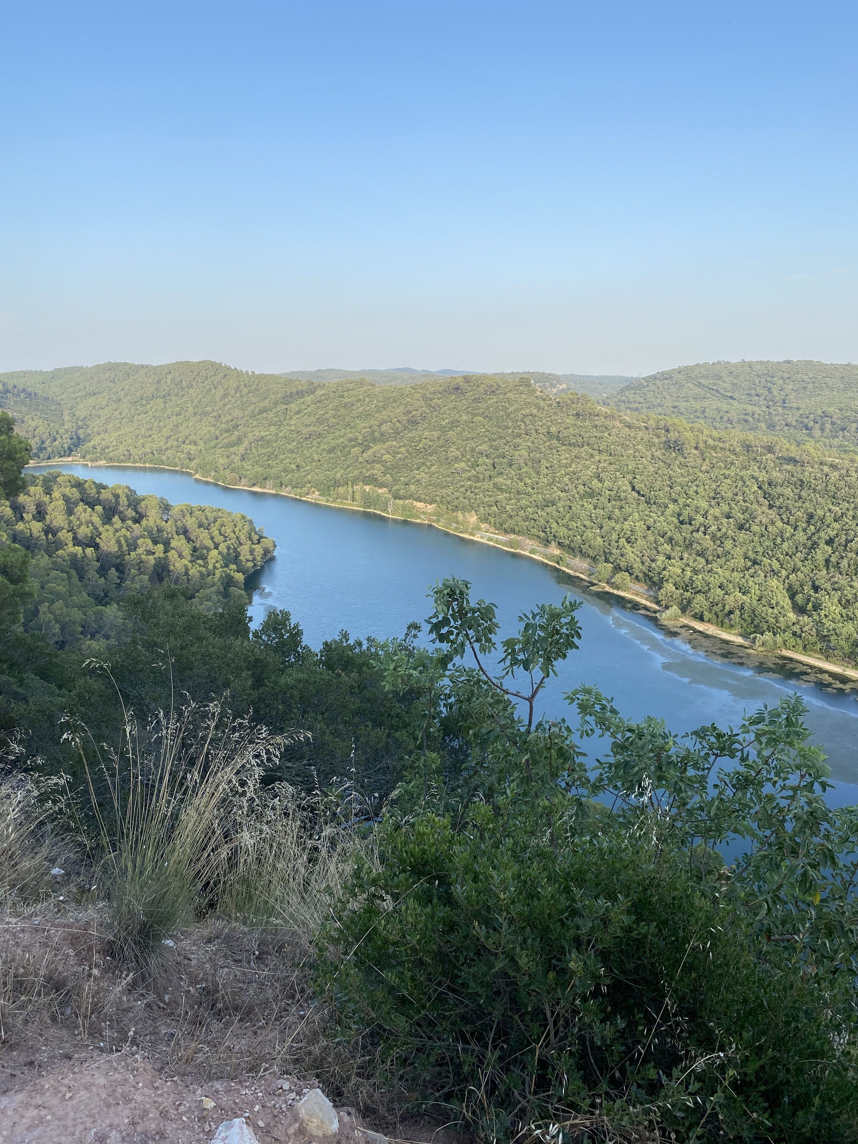 A river winding through a forested valley with hills in the background.