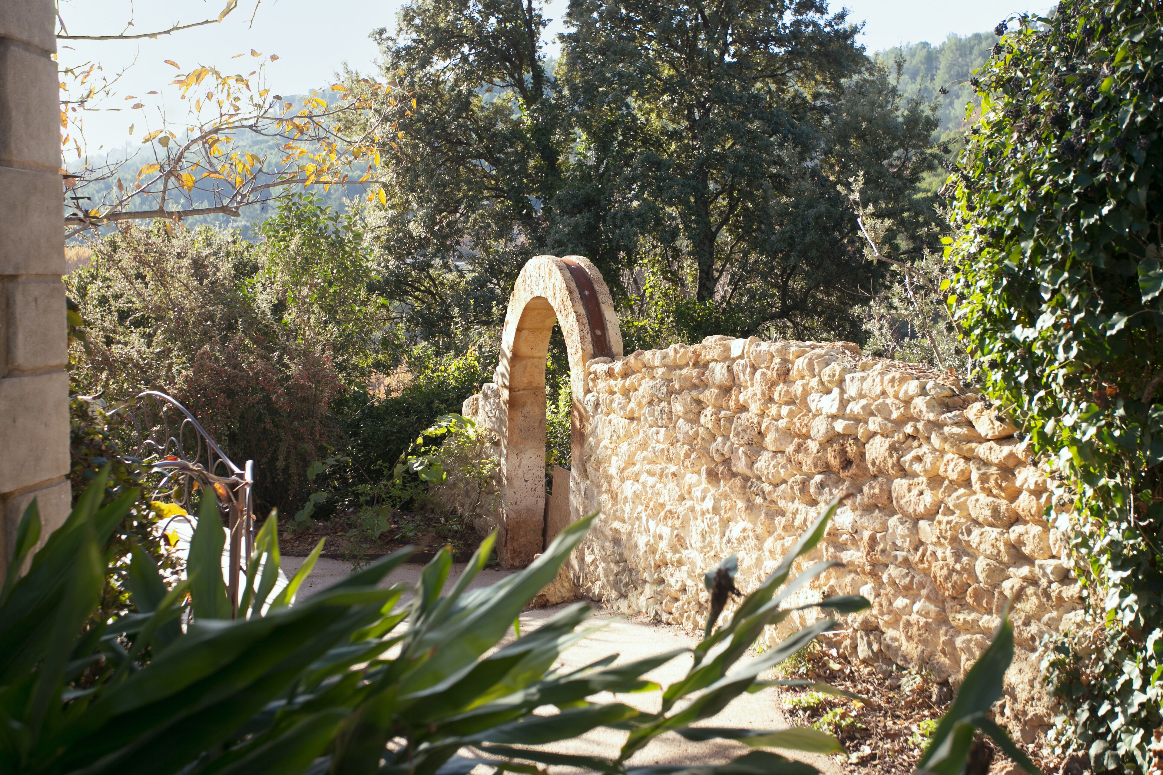 Un muro de piedra con un arco, rodeado de follaje y árboles.