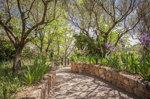 Un sendero de piedra rodeado de abundante vegetación y árboles.