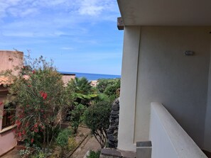 Property grounds - Uncontaminated nature and relaxation (Loc. Portu Maga Arbus)