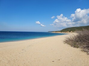 靠近海滩