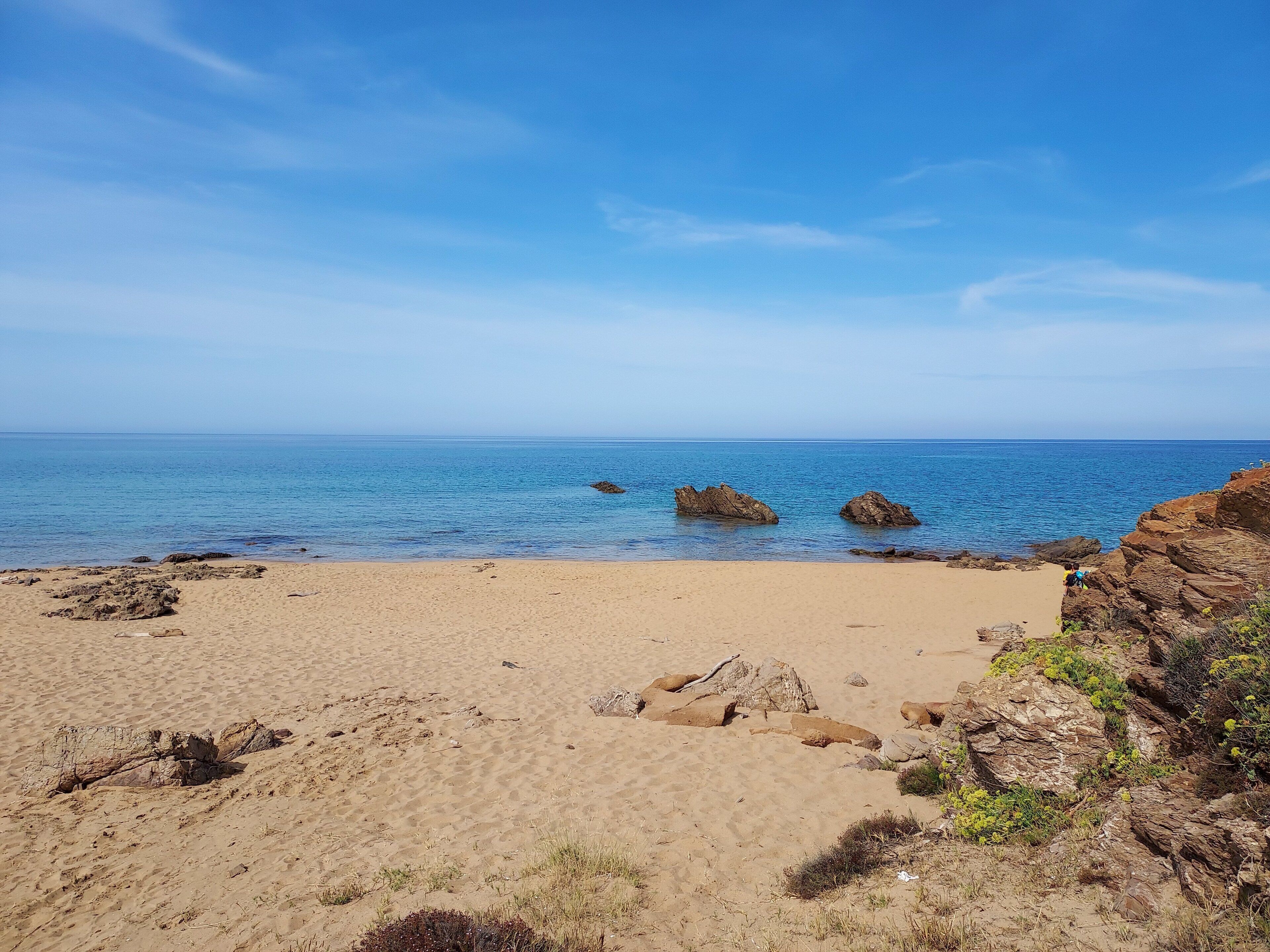 A sandy beach with scattered rocks and sparse vegetation.