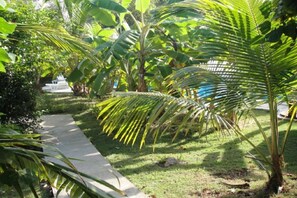 Property grounds - Gîte Gwadareves 2/4 people – Sainte-Anne, Guadeloupe (Sainte Anne)